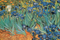 AP624 Van Gogh - Garden of Irises, 24 x 36