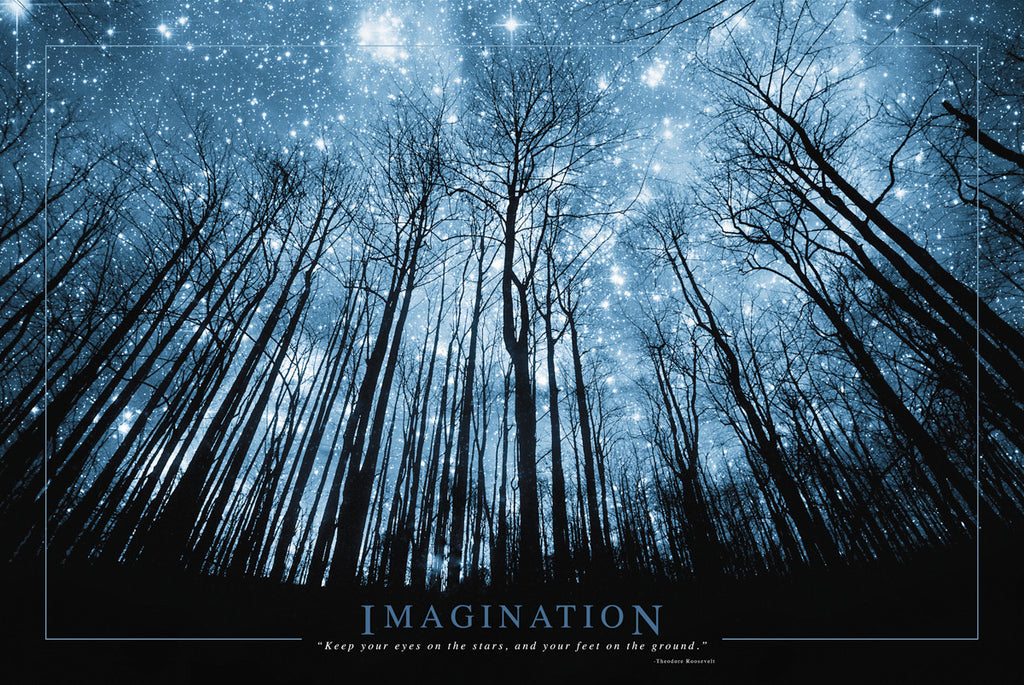 NY858 - Imagination, 24 x 36