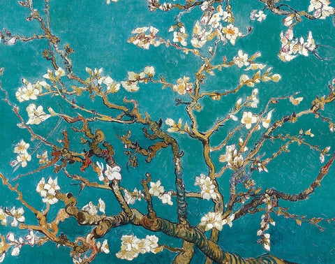 PV136 - Van Gogh, Almond Blossom, 11 x 14