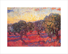 PV840 - Van Gogh, Olive Grove, 11 x 14