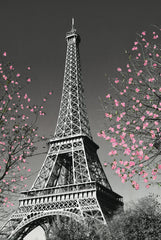 NY892 - Paris Blossom  24x36