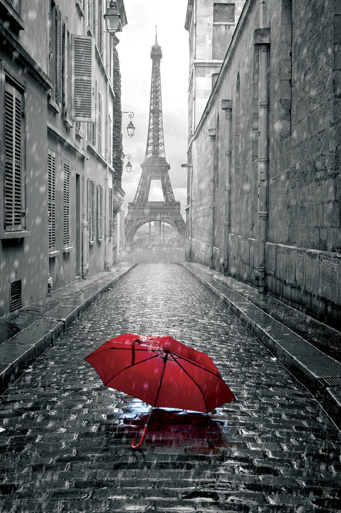 NY893 - Paris Umbrella  24x36