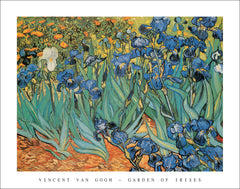 V401 - Van Gogh - Garden of Irises, 22 x 28